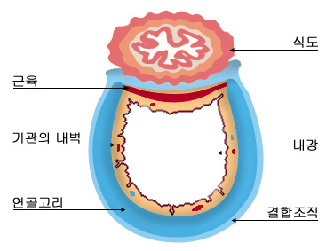 의약품 이미지